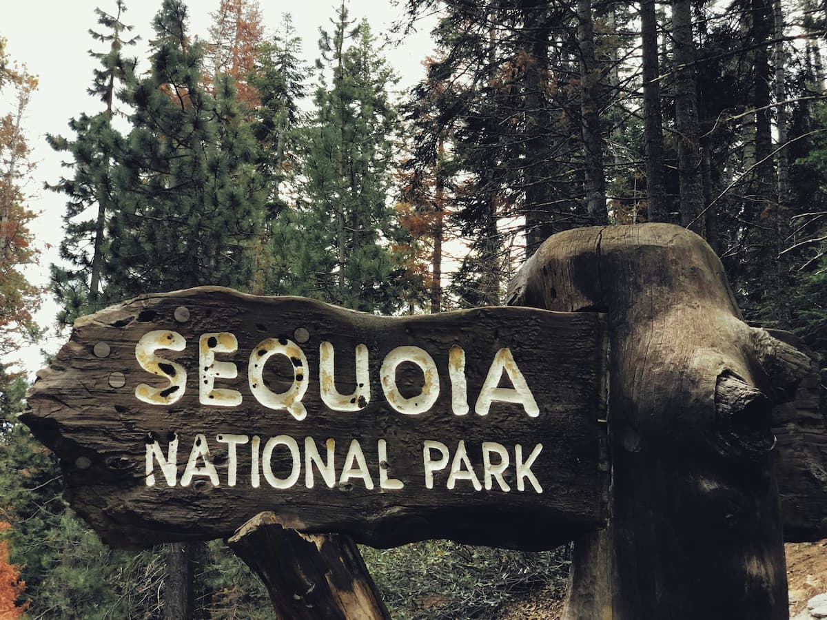 Entrance sign for Sequoia National Park with giant sequoia trees in the background.