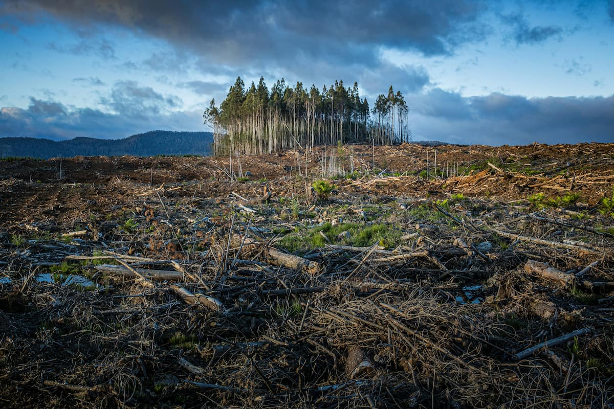 Landscape showing contrasting seasonal elements, symbolizing disruption.